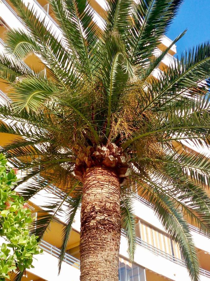 Voramar Διαμέρισμα Κάλπε Εξωτερικό φωτογραφία