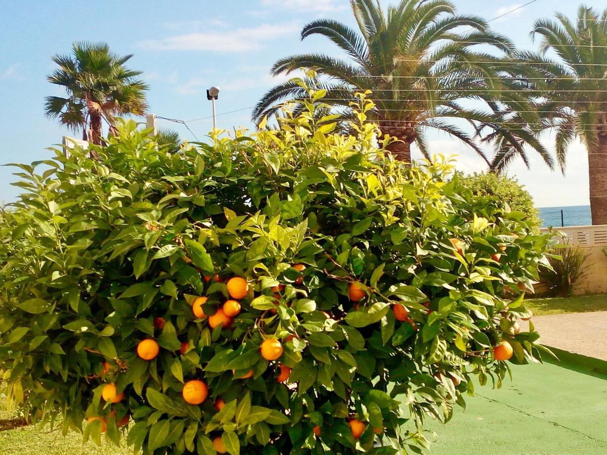 Voramar Διαμέρισμα Κάλπε Εξωτερικό φωτογραφία